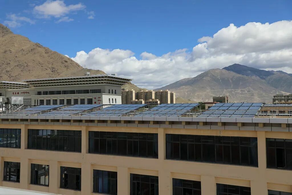 77223024-462c-4e04-8df2-679db8495485.jpg